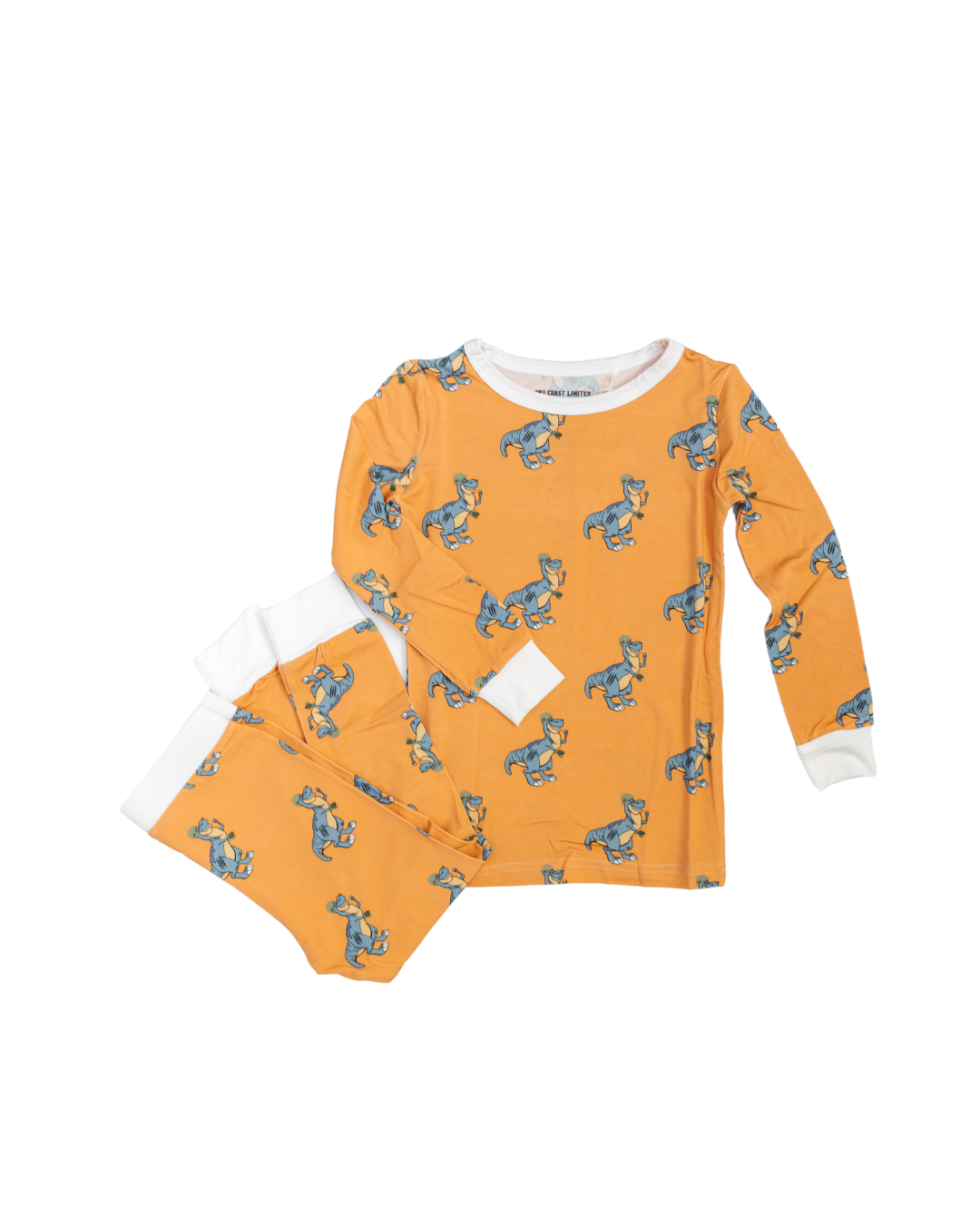 Dangerous Dino Toddler Set
