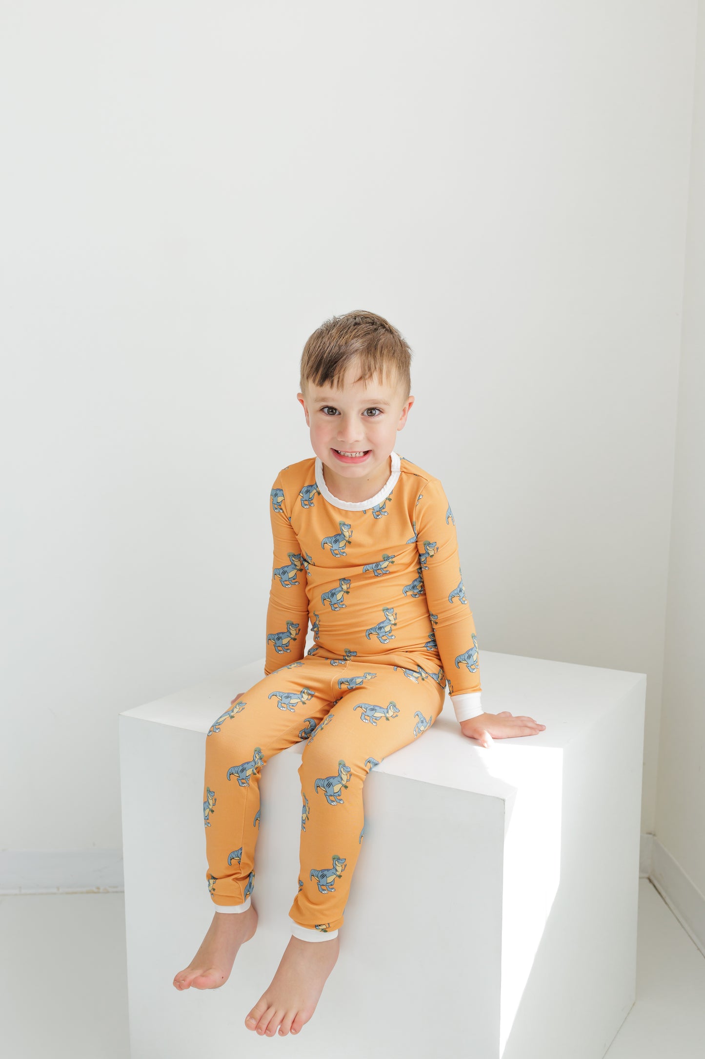 Dangerous Dino Toddler Set